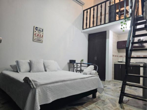 Ingenio Haus 202